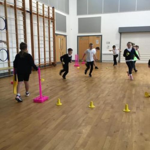 Cricket Skills