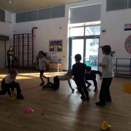 Cricket Sessions (October 2023)