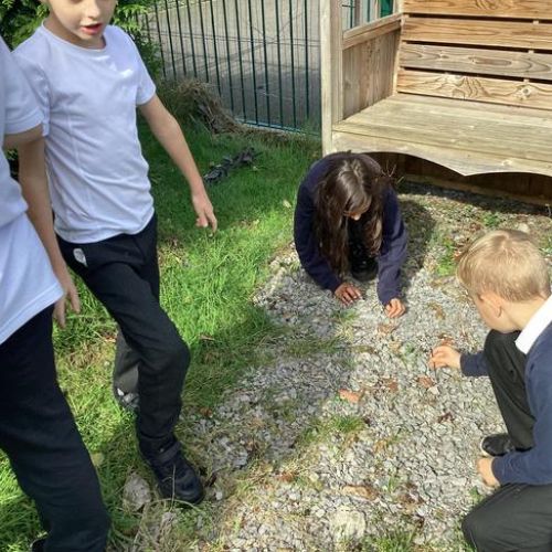 Outdoor Learning